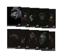 Pigna Quaderno Maxi Monocromo Black A4 - carta 100 g/m², 72 pagine, quadretti 5 mm - Confezione da 10