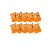 Pigna, Maxi Quaderno Monocromo Orange, A4, carta interna 100 g/m², pagine 72 + risguardo, interno5M,quadretti 5 mm., Soggetti Assortiti, Confezione da 10