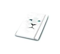 Pigna NOTEBOOK MONOCROMO WHITE LION 80FF/160 PAG.FSC righe, Bianco