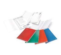 Pigna Quaderno Maxi 100 A Quadretti Per Disgrafia Monocromo Q.I. -Confezione, Multicolore, 8005235149786