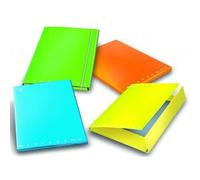 Pigna Raccoglitore ad Anelli Monocromo Fluo