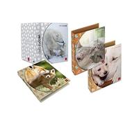 Pigna, Raccoglitore con anelli f.to A4 DOLCI CUCCIOLI, soggetti assortitI,raccoglitori con anelli, organizzazione appunti scolatici e/o documenti, Formato 27x32 cm, confezione da 5 pezzi