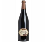 Jermann PIGNACOLUSSE Rosso Venezia Giulia IGT 2019 JERMANN 2019