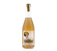 Pignoletto Frizzante Ancestrale 'Selvadeg' Fangareggi