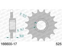AFAM 166600-17 Pignone catena