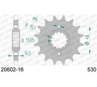 AFAM Pignone standard in acciaio 20602 - 530