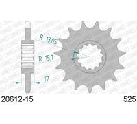 AFAM Pignone standard in acciaio 20612 - 525