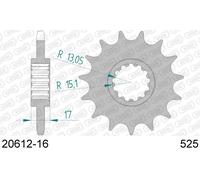 AFAM Pignone standard in acciaio 20612 - 525