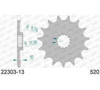 AFAM Pignone standard in acciaio 22303 - 520