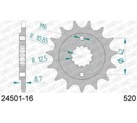 AFAM Pignone standard in acciaio 24501 - 520