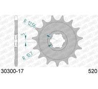AFAM Pignone standard in acciaio 30300 - 520