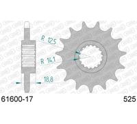 AFAM Pignone standard in acciaio 61600 - 525