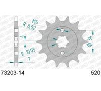AFAM Pignone standard in acciaio 73203 - 520