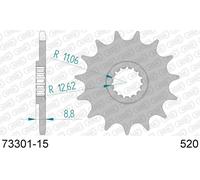 AFAM Pignone standard in acciaio 73301 - 520