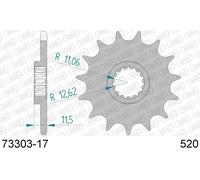 AFAM Pignone acciaio standard 73303 - 520