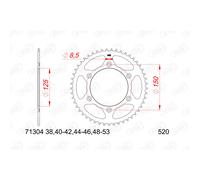 AFAM Pignone anteriore in acciaio senza rumore - 520
