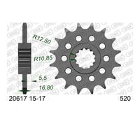 AFAM Pignone standard in acciaio 20617 - 520