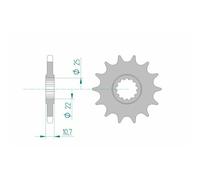 Pignone Afam Acciaio Standard 21606-Passo 525 Per Moto Ricambi Ciclomotore