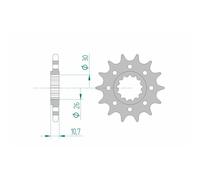 Pignone Afam Acciaio Standard 21805-Passo 525 Per Moto Ricambi Accessori Parti