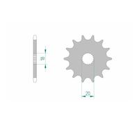 AFAM Pignone standard in acciaio 61300 - 520