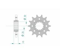 AFAM Pignone standard in acciaio 20615 - 525
