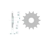 AFAM Pignone standard in acciaio 73301 - 520