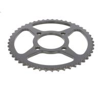 Pignone catena JT JTR1796,49