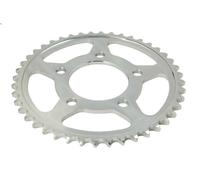 Pignone catena JT JTR2010,44