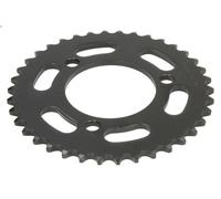 Pignone catena JT JTR239,38