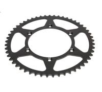 Pignone catena JT JTR460,53