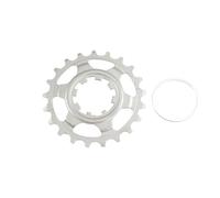 Miche Pignone Campagnolo 11s Last Position Silver