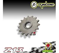 PIGNONE IN ACCIAIO OGNIBENE 13 DENTI FANTIC TX 180 50 Enduro Motard Casa