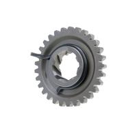 Pignone Messa in Moto 29 denti originale Derbi Euro3 (D50B0)