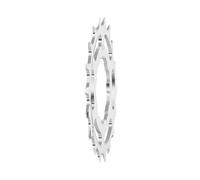 Pignone Miche Shimano 11 V Argenté 23T