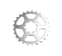 Pignone Miche Campagnolo 10V/9V Argenté