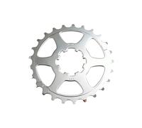 Pignone Miche Campagnolo 10V/9V Argento