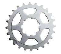 Pignone Miche Shimano 10 V Argenté