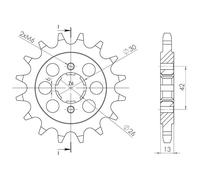 PIGNONE P630 - Z16 (DIS.21800)