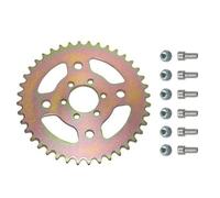 Pignone Posteriore 40T Heavy Duty 420 Con 6 Fori Per Mini Moto Coleman CT100U