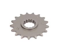 Pignone posteriore JT F1579,17