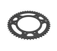 Pignone posteriore JTR 1131,48