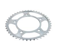 Pignone posteriore JTR 1304,43