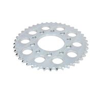 Pignone posteriore JTR 1334,42