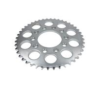 Pignone posteriore JTR 1334,44