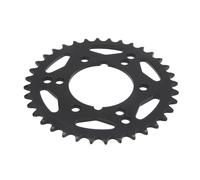 Pignone posteriore JTR 1478,36