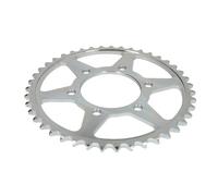 Pignone posteriore JTR 1489,43