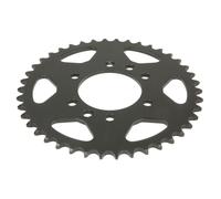 Pignone posteriore JTR 1825,42