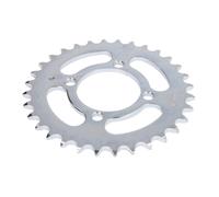 Pignone posteriore JTR 1910,32