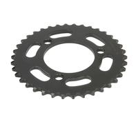 Pignone posteriore JTR 239,38