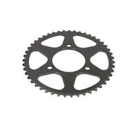 Pignone posteriore JTR 239,47